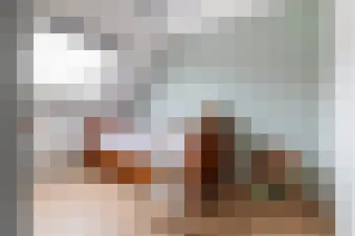 Bijenkorf 55 Eerbeek thumbnail 25