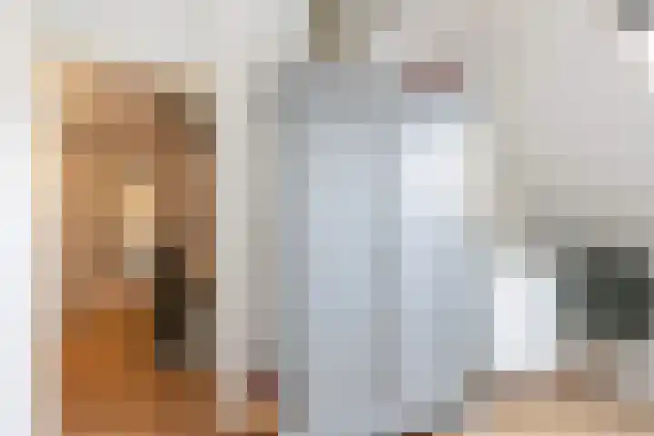 Bijenkorf 55 Eerbeek thumbnail 26