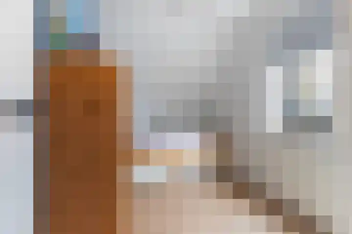 Bijenkorf 55 Eerbeek thumbnail 27