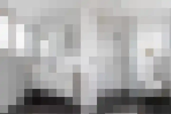 Bijenkorf 55 Eerbeek thumbnail 29