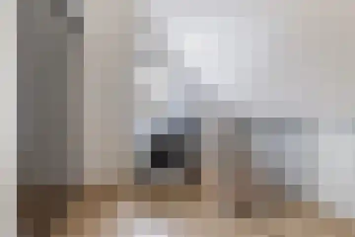 Bijenkorf 55 Eerbeek thumbnail 31