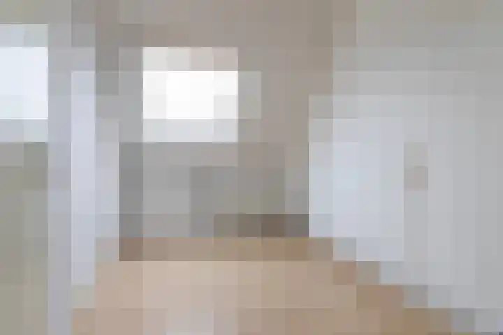 Bijenkorf 55 Eerbeek thumbnail 32
