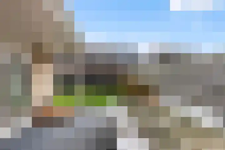 Bijenkorf 55 Eerbeek thumbnail 34