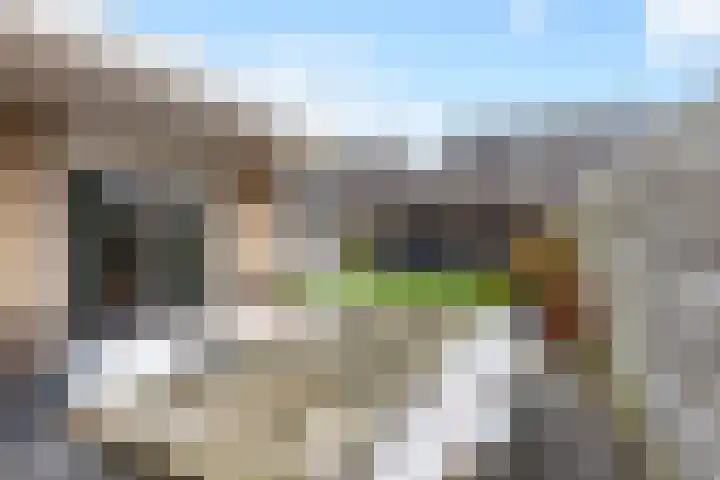 Bijenkorf 55 Eerbeek thumbnail 35