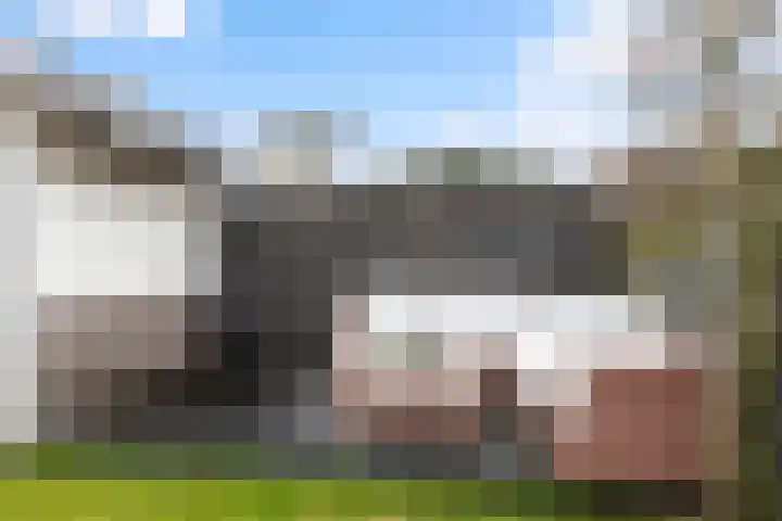 Bijenkorf 55 Eerbeek thumbnail 36