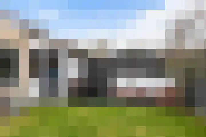 Bijenkorf 55 Eerbeek thumbnail 37