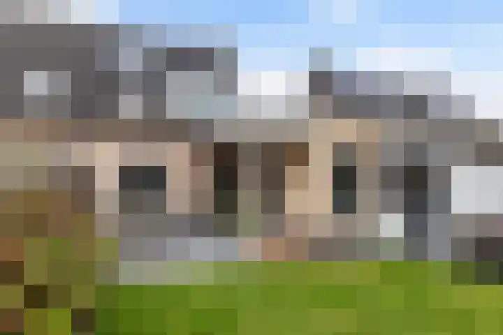 Bijenkorf 55 Eerbeek thumbnail 38