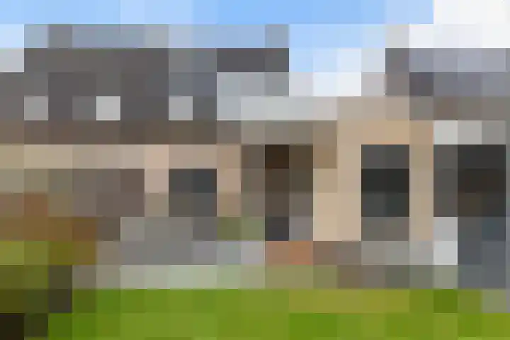 Bijenkorf 55 Eerbeek thumbnail 39