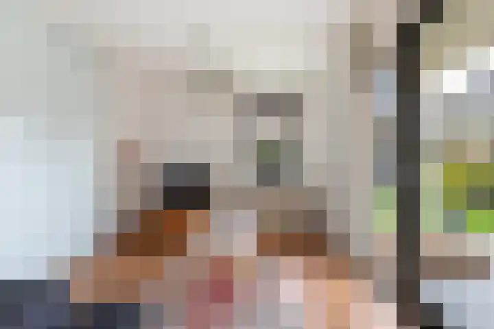 Bijenkorf 55 Eerbeek thumbnail 4
