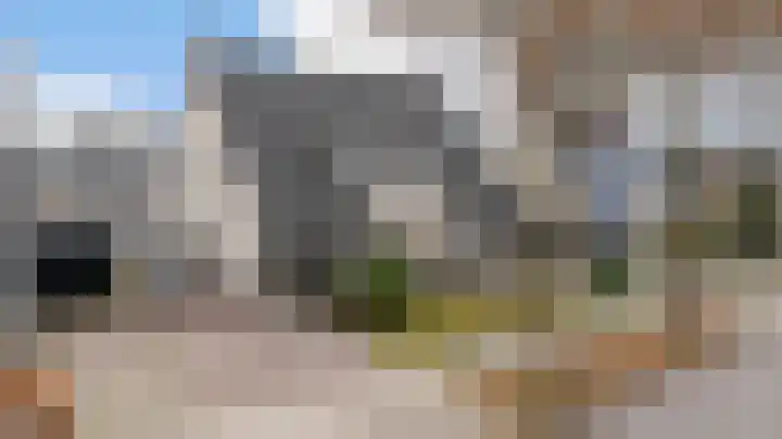 Bijenkorf 55 Eerbeek thumbnail 40
