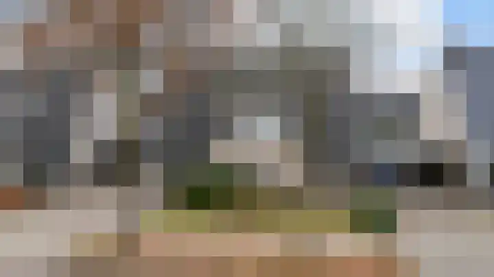 Bijenkorf 55 Eerbeek thumbnail 41