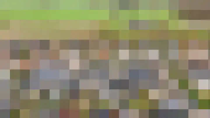 Bijenkorf 55 Eerbeek thumbnail 42