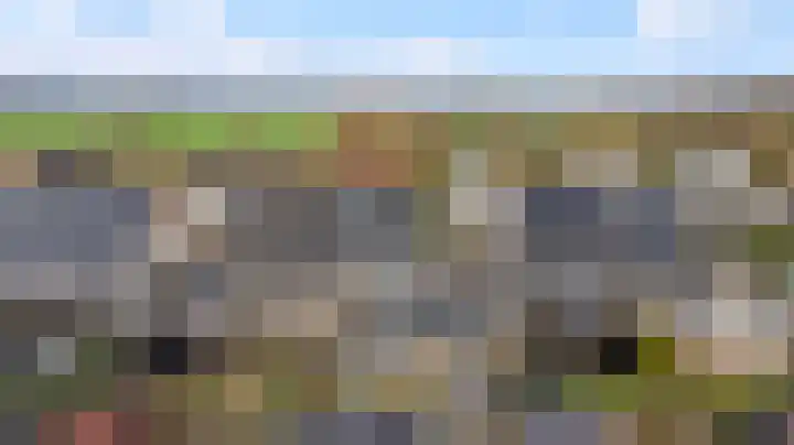 Bijenkorf 55 Eerbeek thumbnail 43