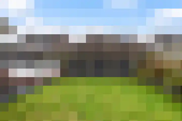 Bijenkorf 55 Eerbeek thumbnail 5