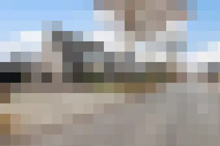 Bijenkorf 55 Eerbeek thumbnail 6