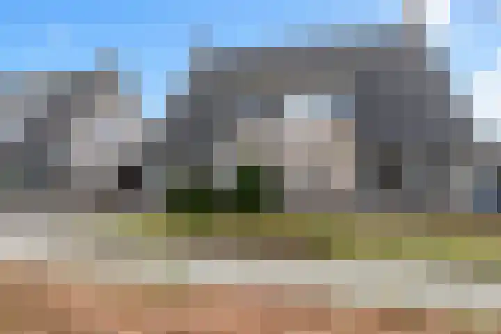 Bijenkorf 55 Eerbeek thumbnail 7