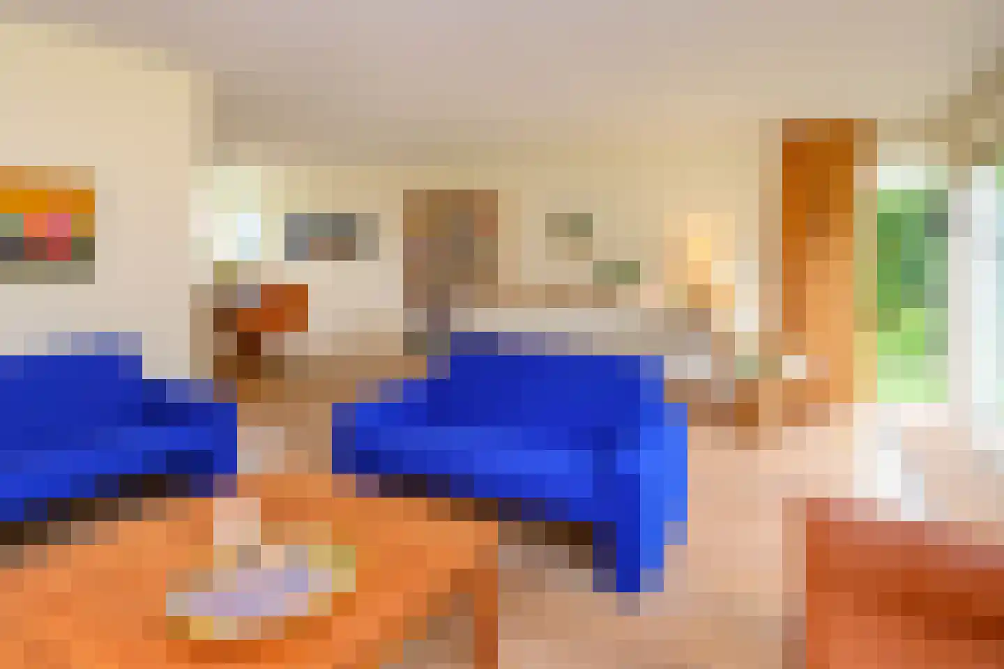 Bijenkorf 56 Eerbeek thumbnail 12