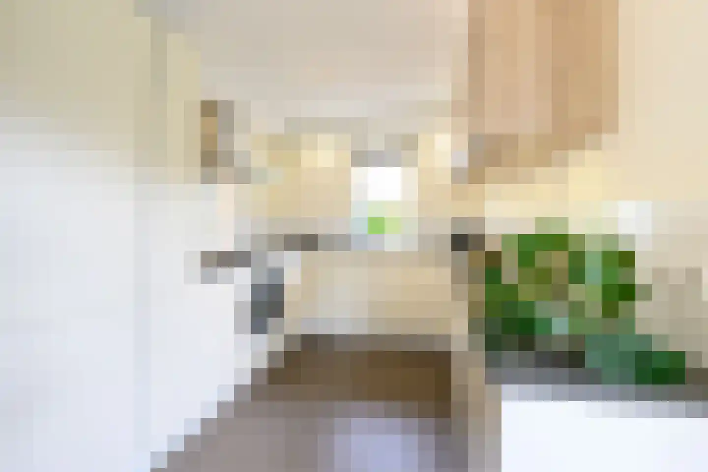 Bijenkorf 56 Eerbeek thumbnail 14