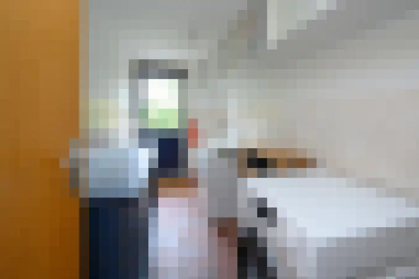 Bijenkorf 56 Eerbeek thumbnail 16