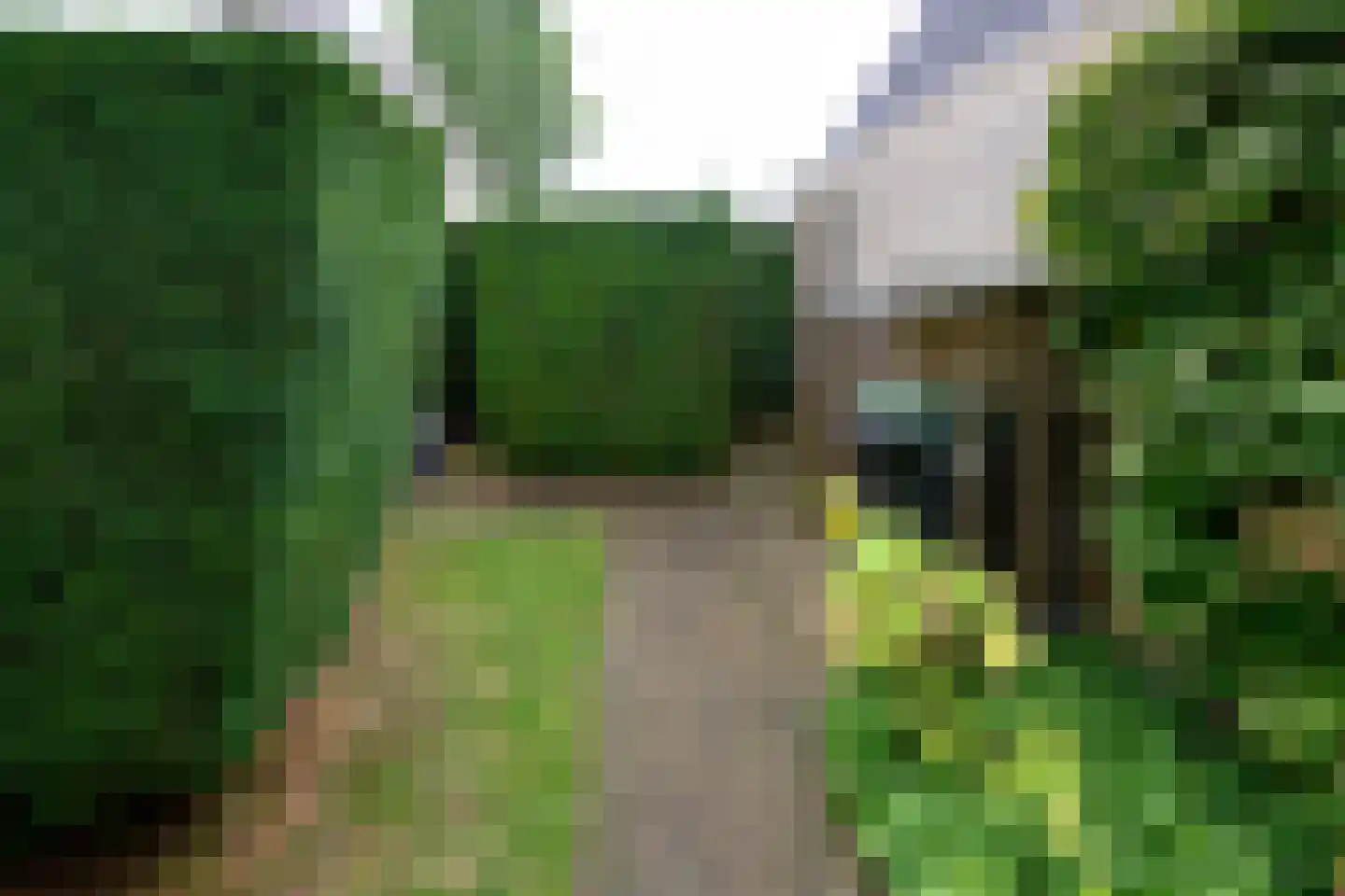 Bijenkorf 56 Eerbeek thumbnail 32