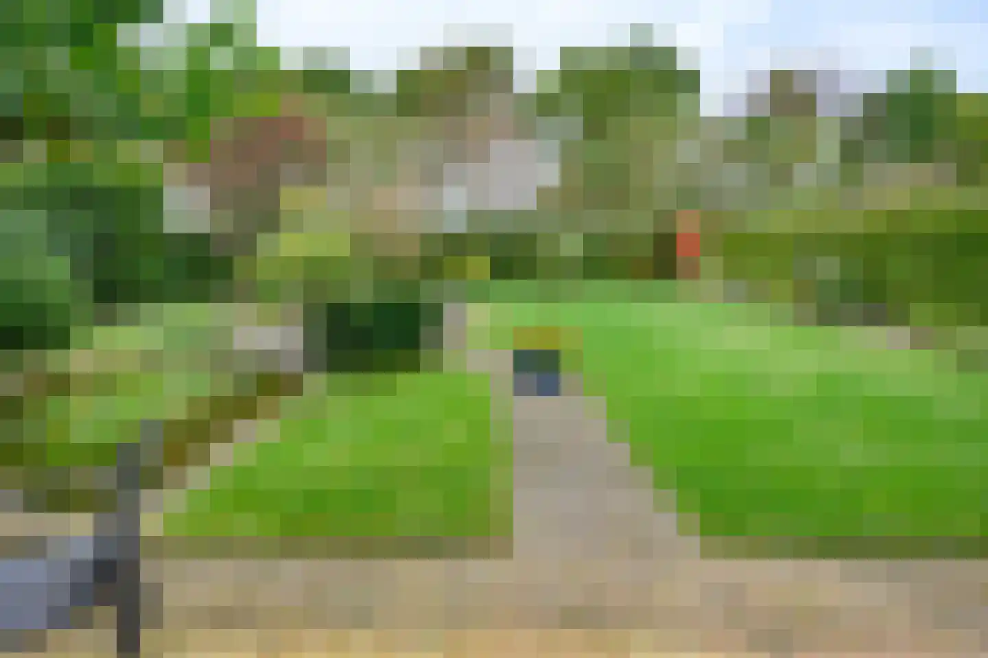 Bijenkorf 56 Eerbeek thumbnail 33