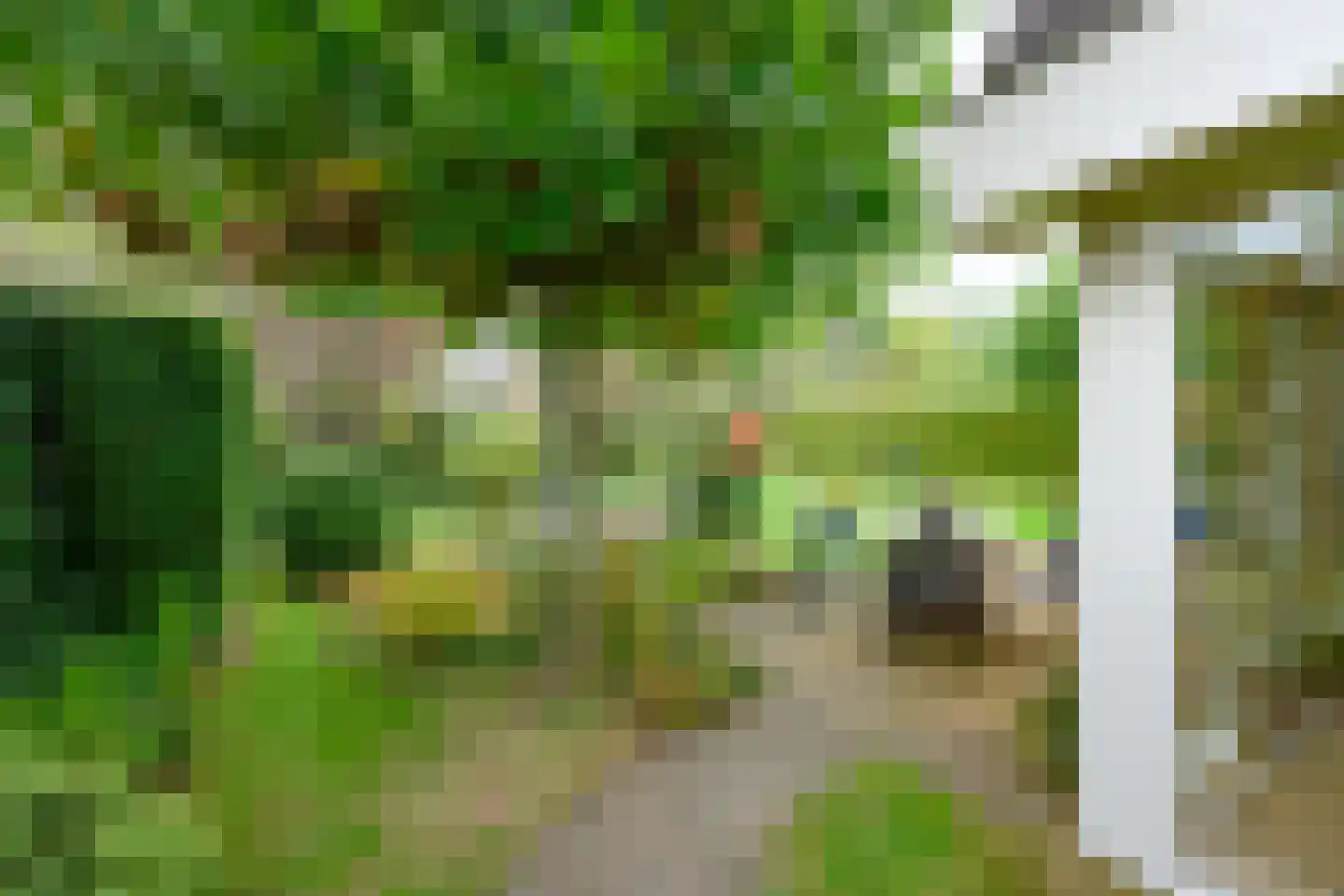 Bijenkorf 56 Eerbeek thumbnail 34