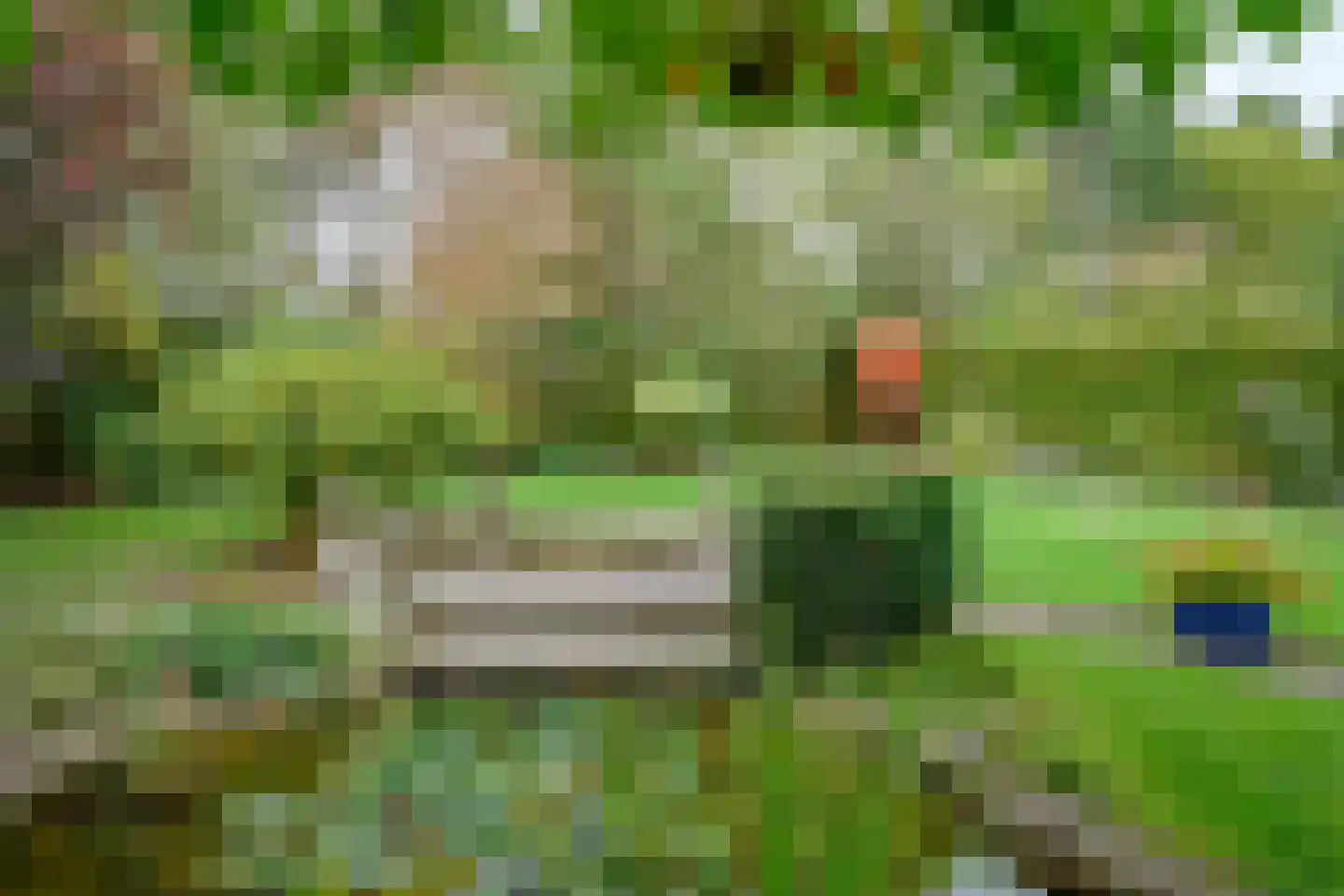 Bijenkorf 56 Eerbeek thumbnail 35