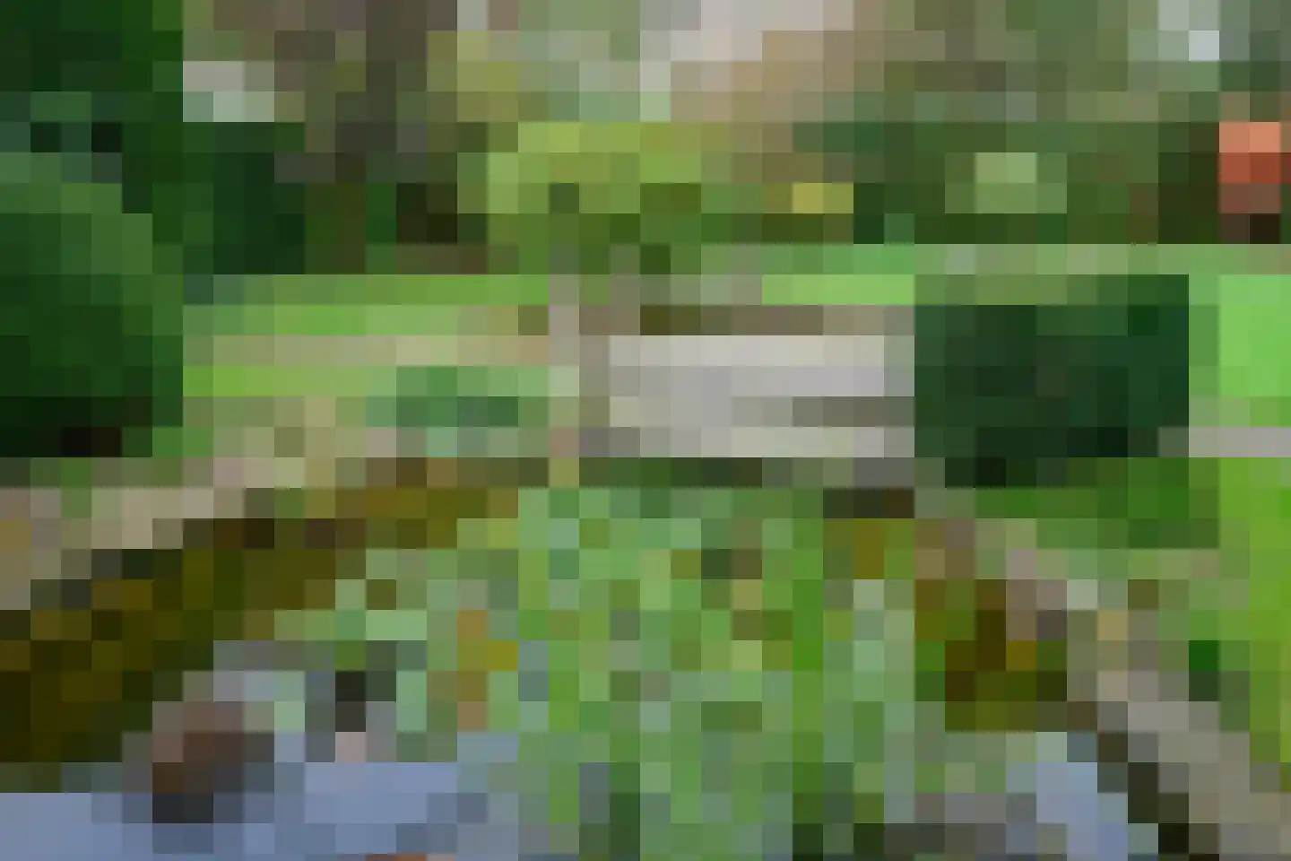 Bijenkorf 56 Eerbeek thumbnail 36