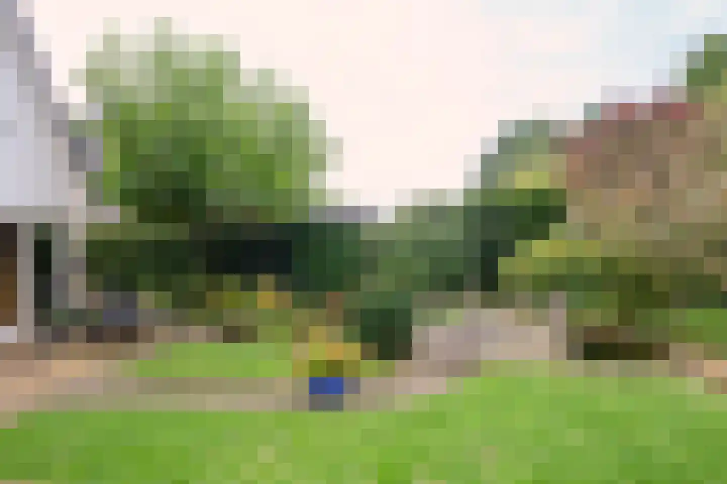 Bijenkorf 56 Eerbeek thumbnail 39