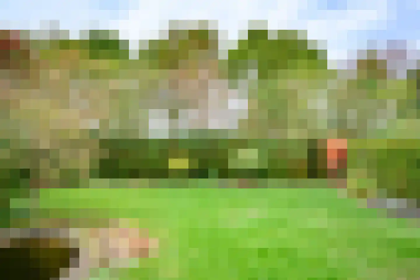 Bijenkorf 56 Eerbeek thumbnail 4