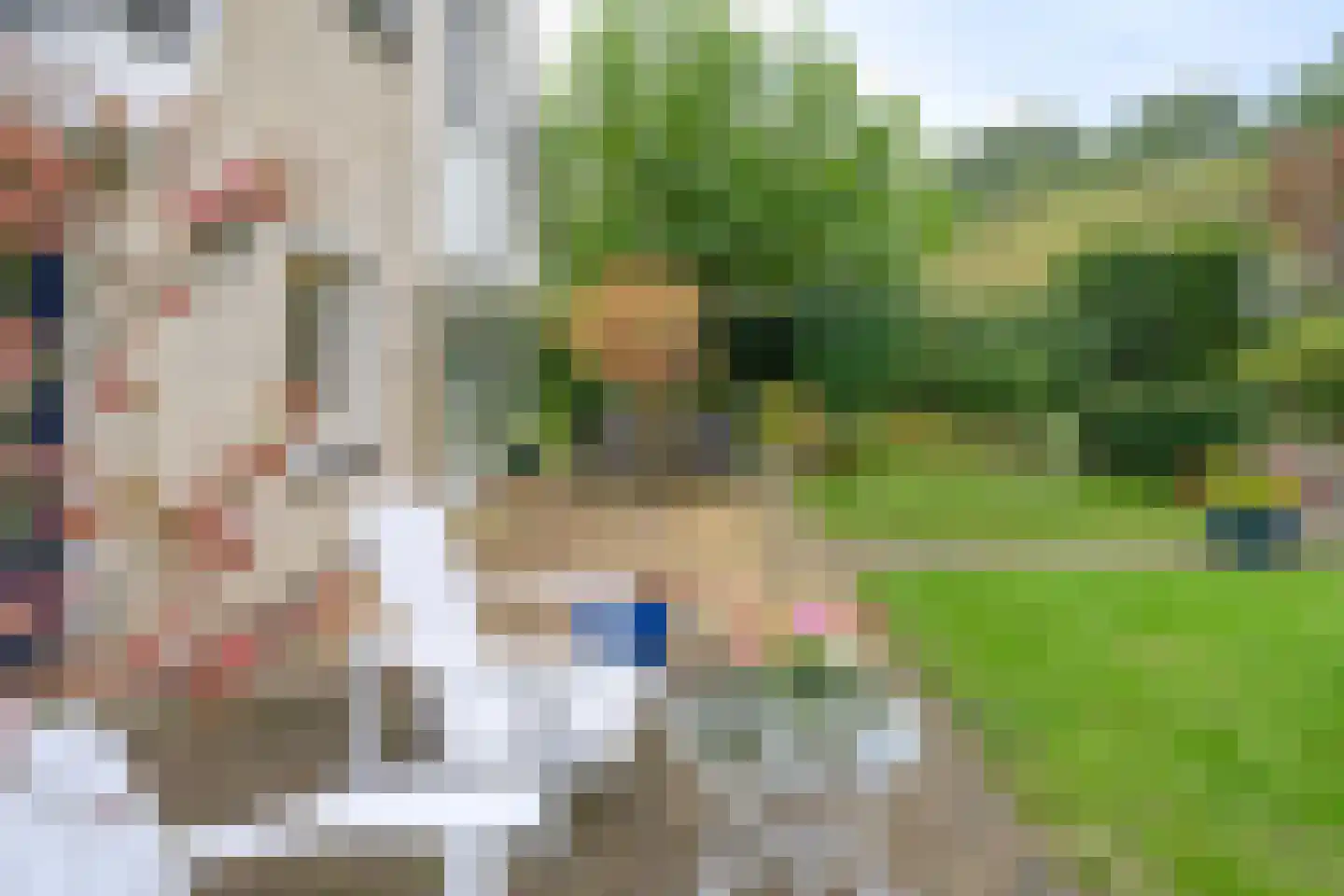 Bijenkorf 56 Eerbeek thumbnail 40