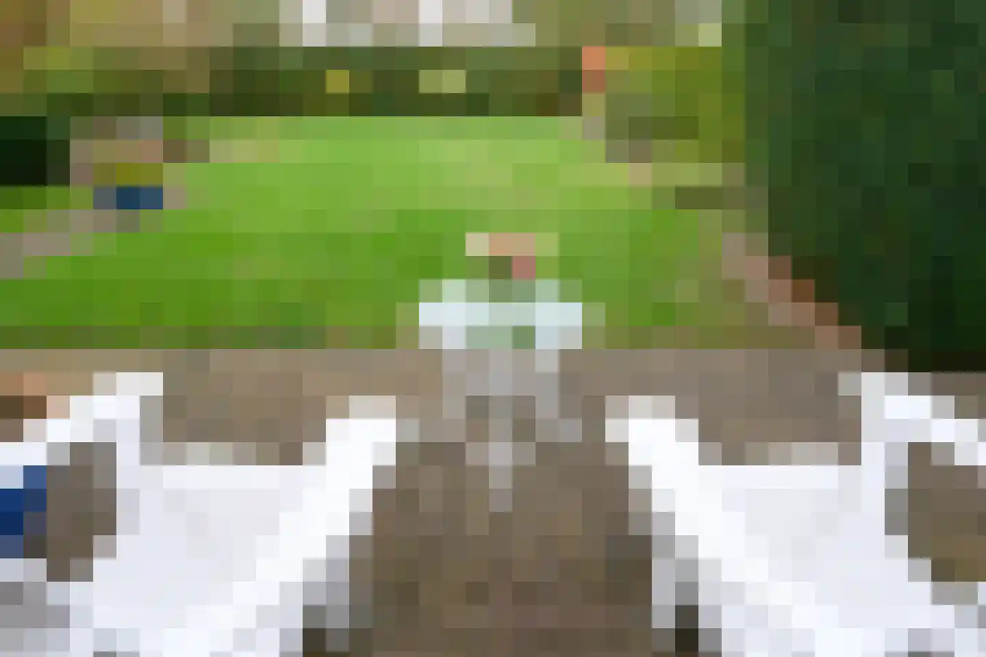 Bijenkorf 56 Eerbeek thumbnail 41