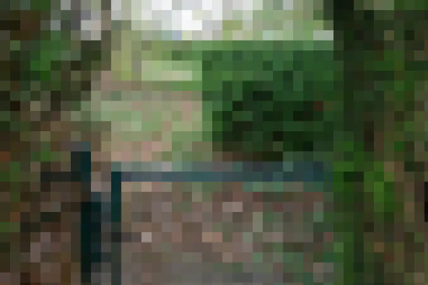 Bijenkorf 56 Eerbeek thumbnail 43