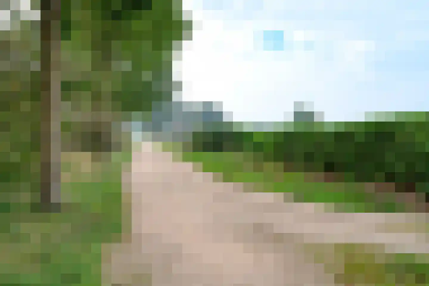 Bijenkorf 56 Eerbeek thumbnail 44