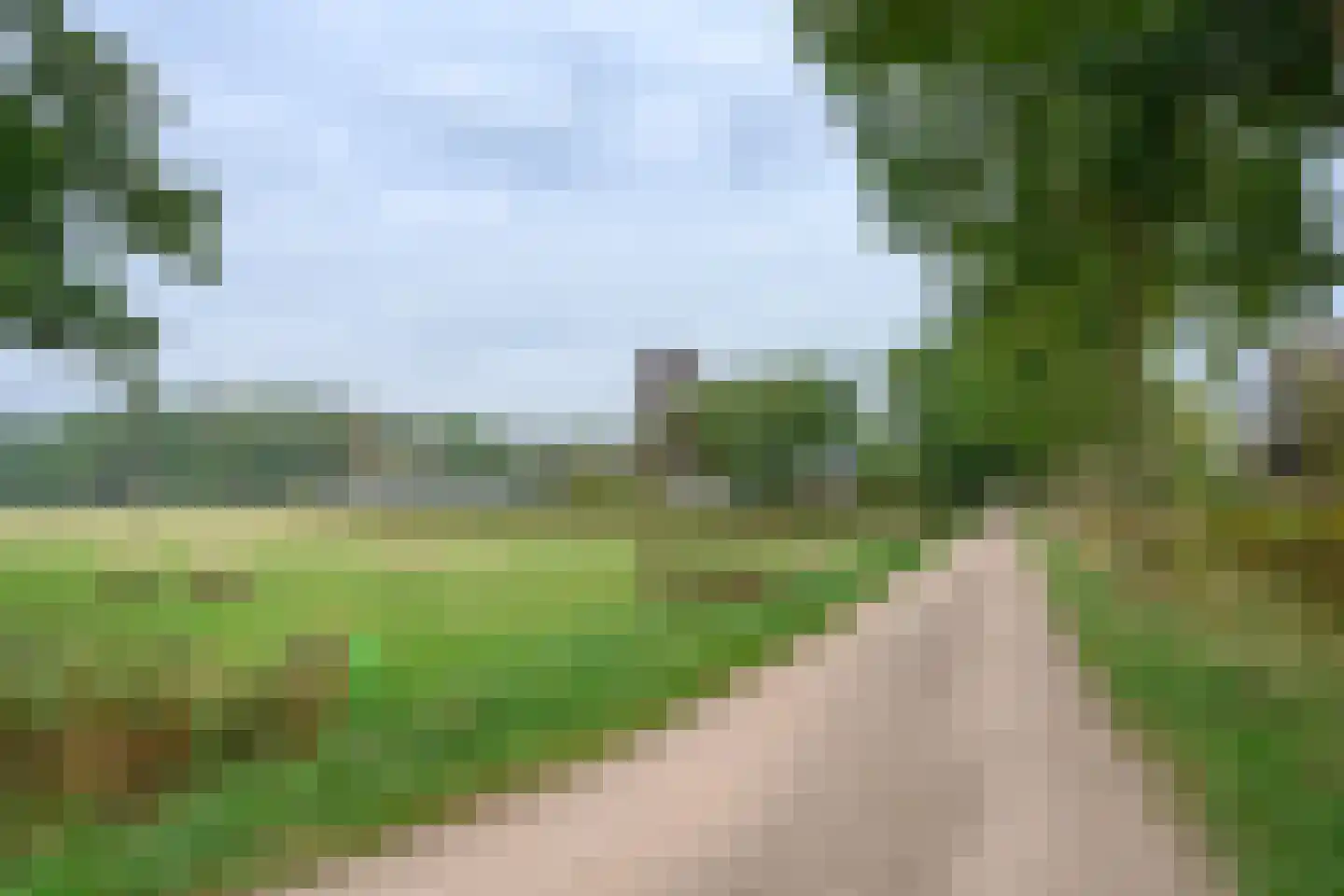 Bijenkorf 56 Eerbeek thumbnail 45