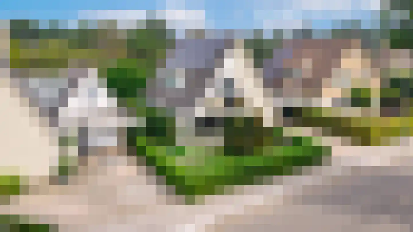 Bijenkorf 56 Eerbeek thumbnail 46