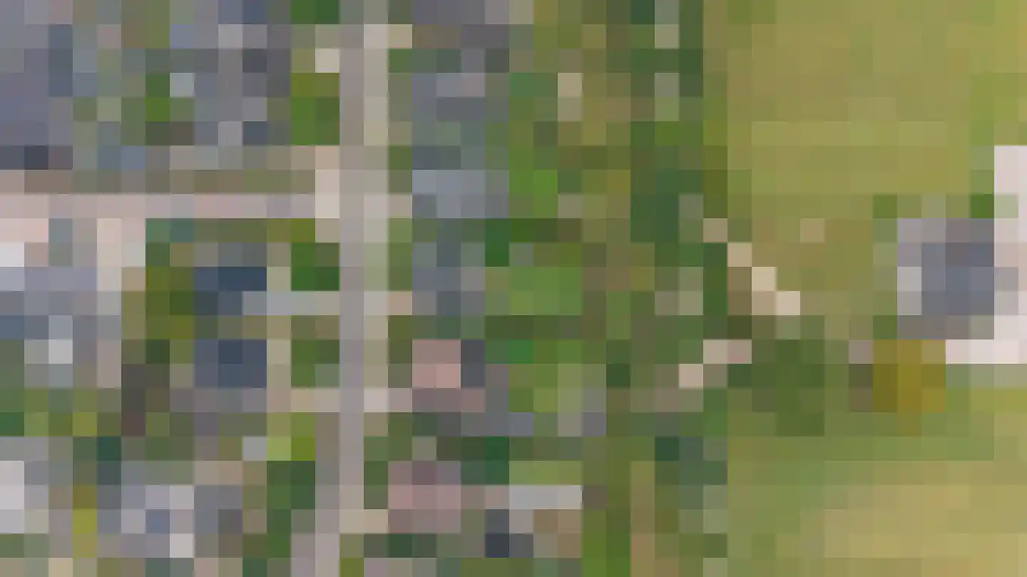 Bijenkorf 56 Eerbeek thumbnail 48
