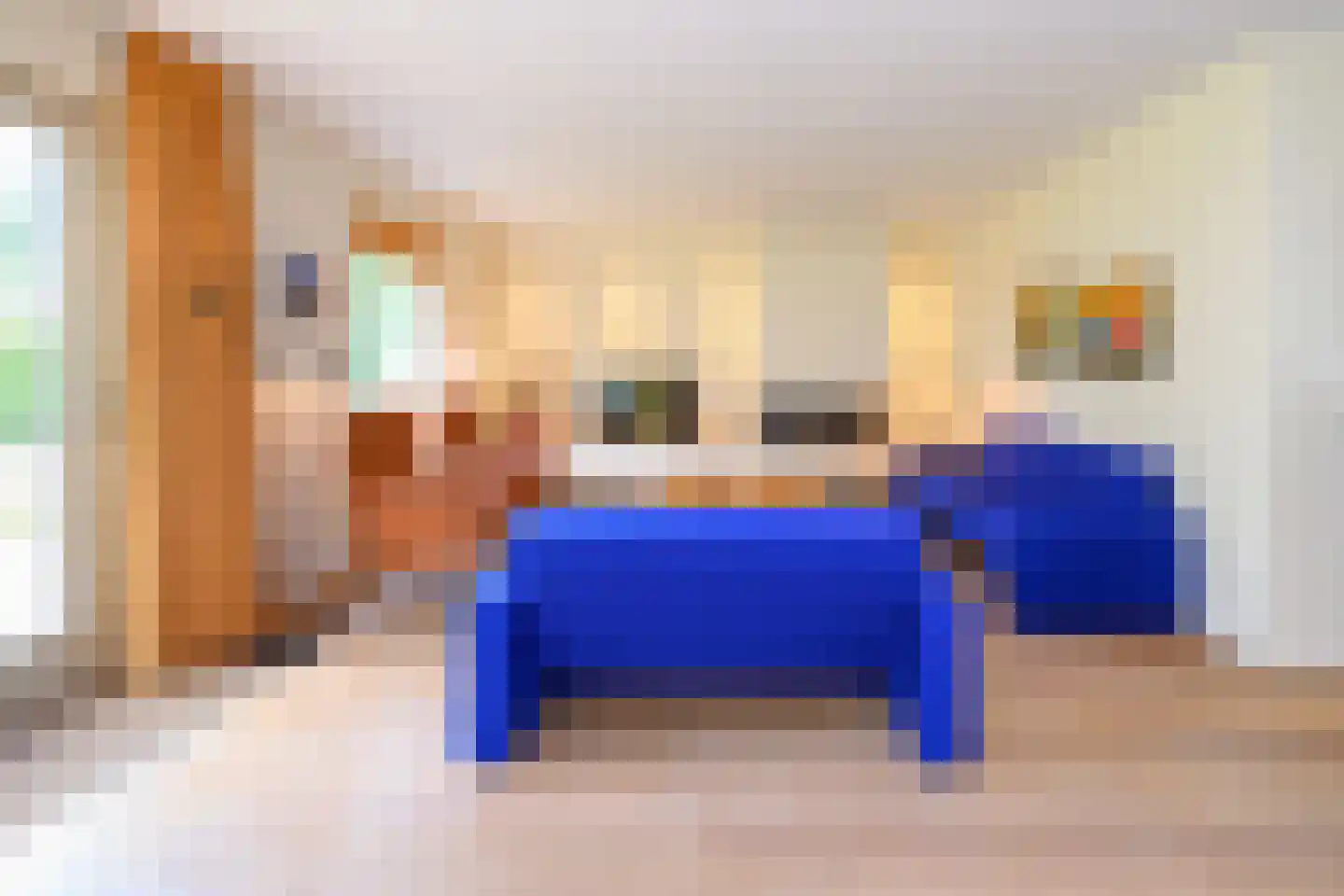 Bijenkorf 56 Eerbeek thumbnail 7