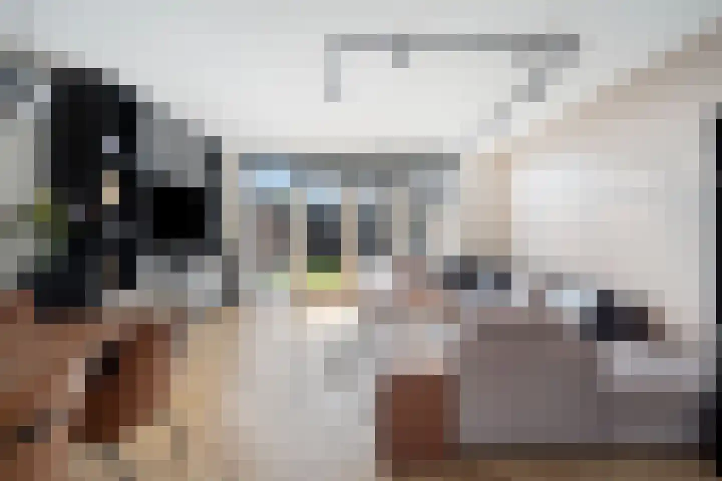 Bijenkorf 6 Moordrecht thumbnail 17