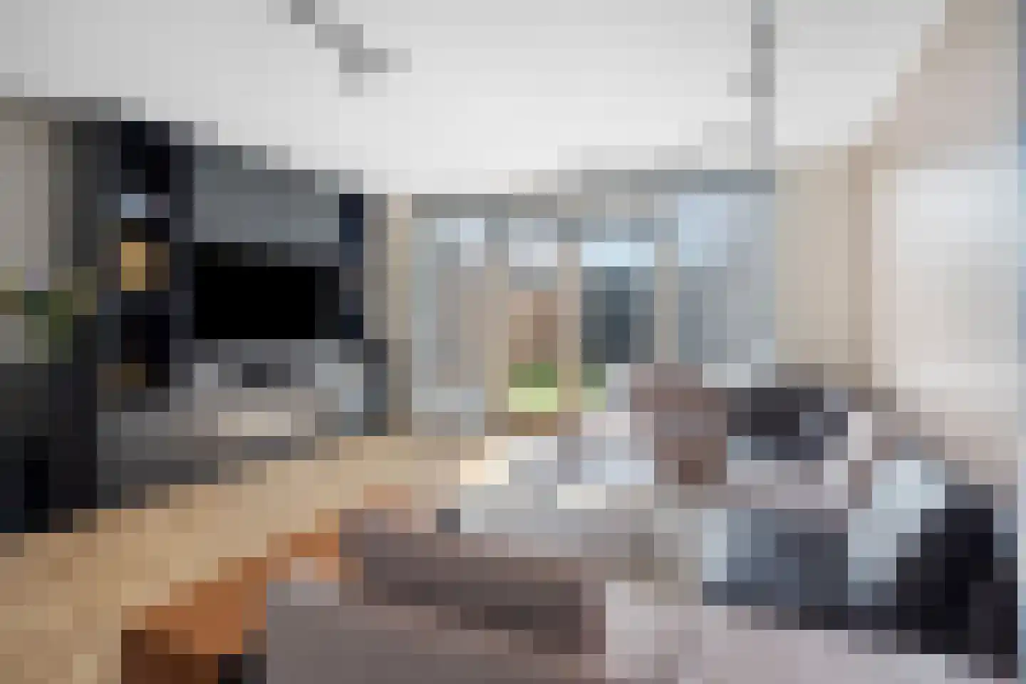 Bijenkorf 6 Moordrecht thumbnail 18