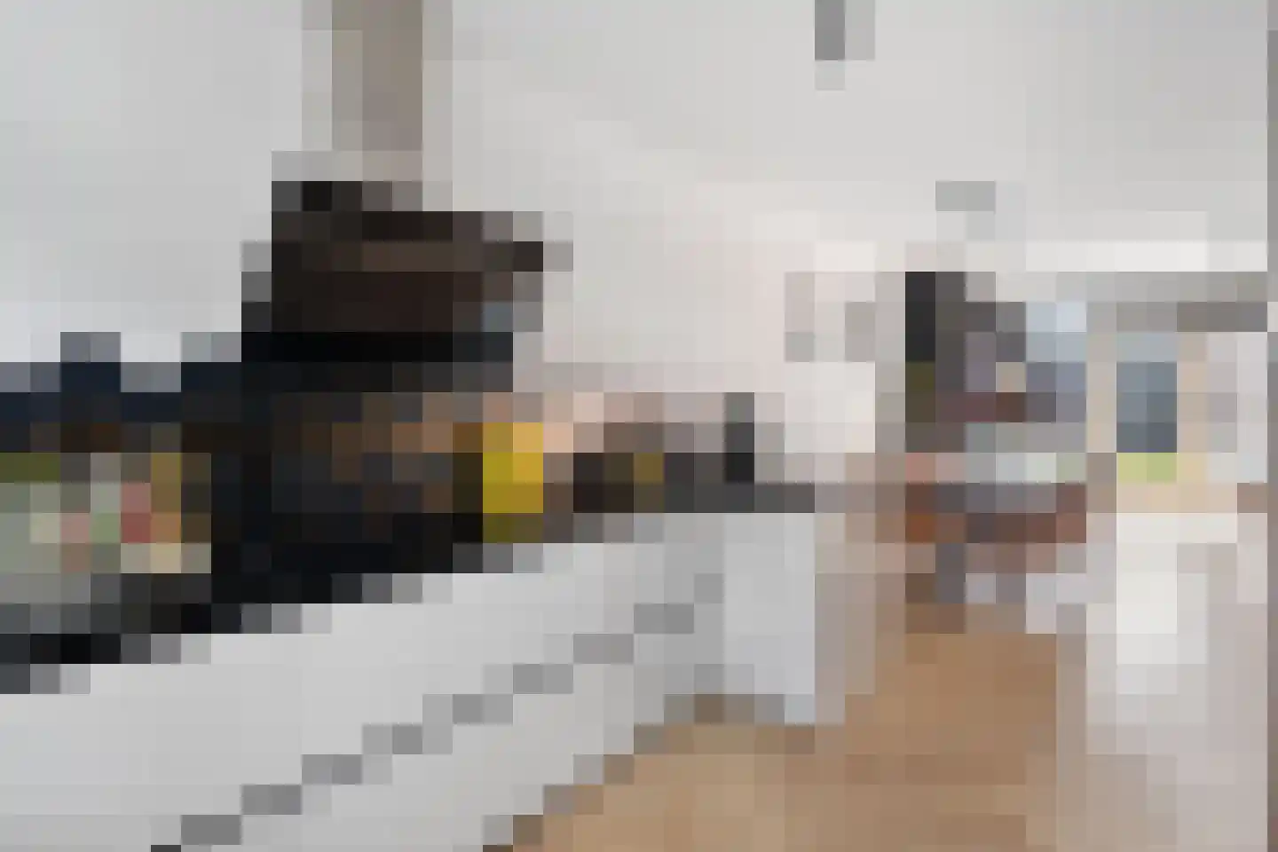 Bijenkorf 6 Moordrecht thumbnail 20