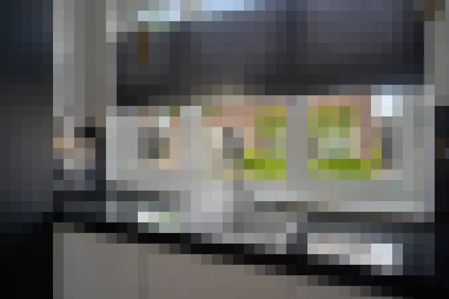 Bijenkorf 6 Moordrecht thumbnail 24