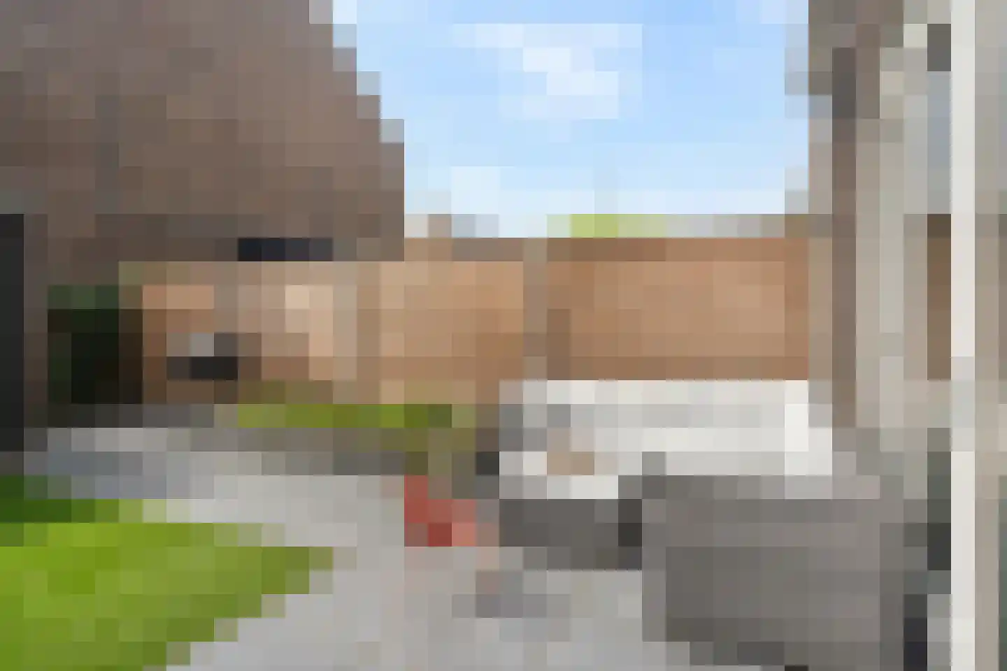 Bijenkorf 6 Moordrecht thumbnail 46