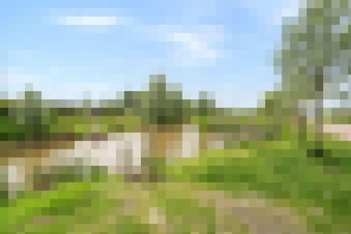 Bijenkorf 6 Moordrecht thumbnail 55