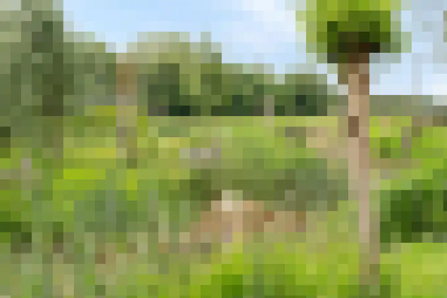 Bijenkorf 6 Moordrecht thumbnail 56
