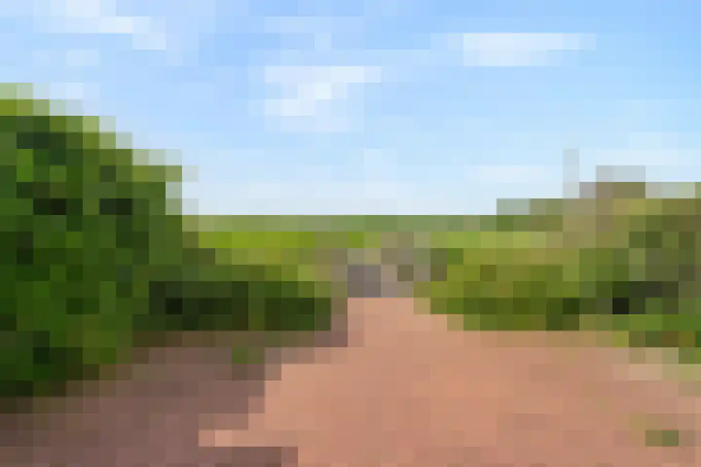Bijenkorf 6 Moordrecht thumbnail 57
