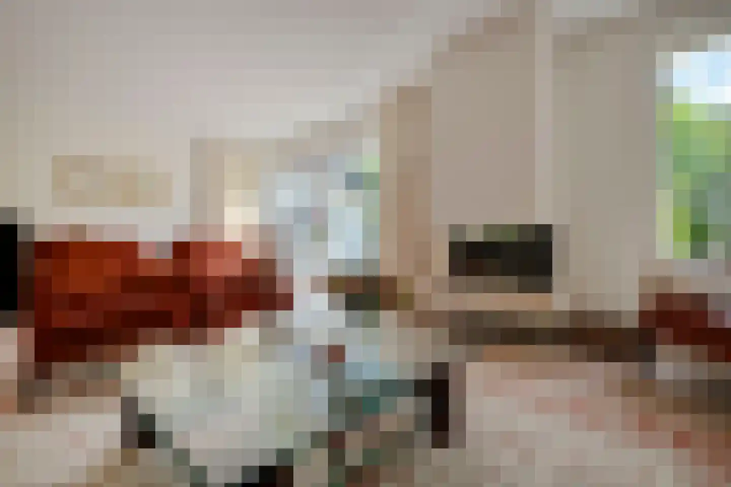 Bijenkorf 60 Eerbeek thumbnail 10