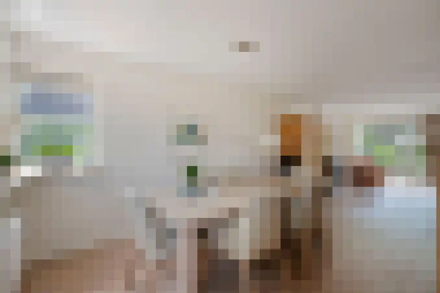 Bijenkorf 60 Eerbeek thumbnail 12