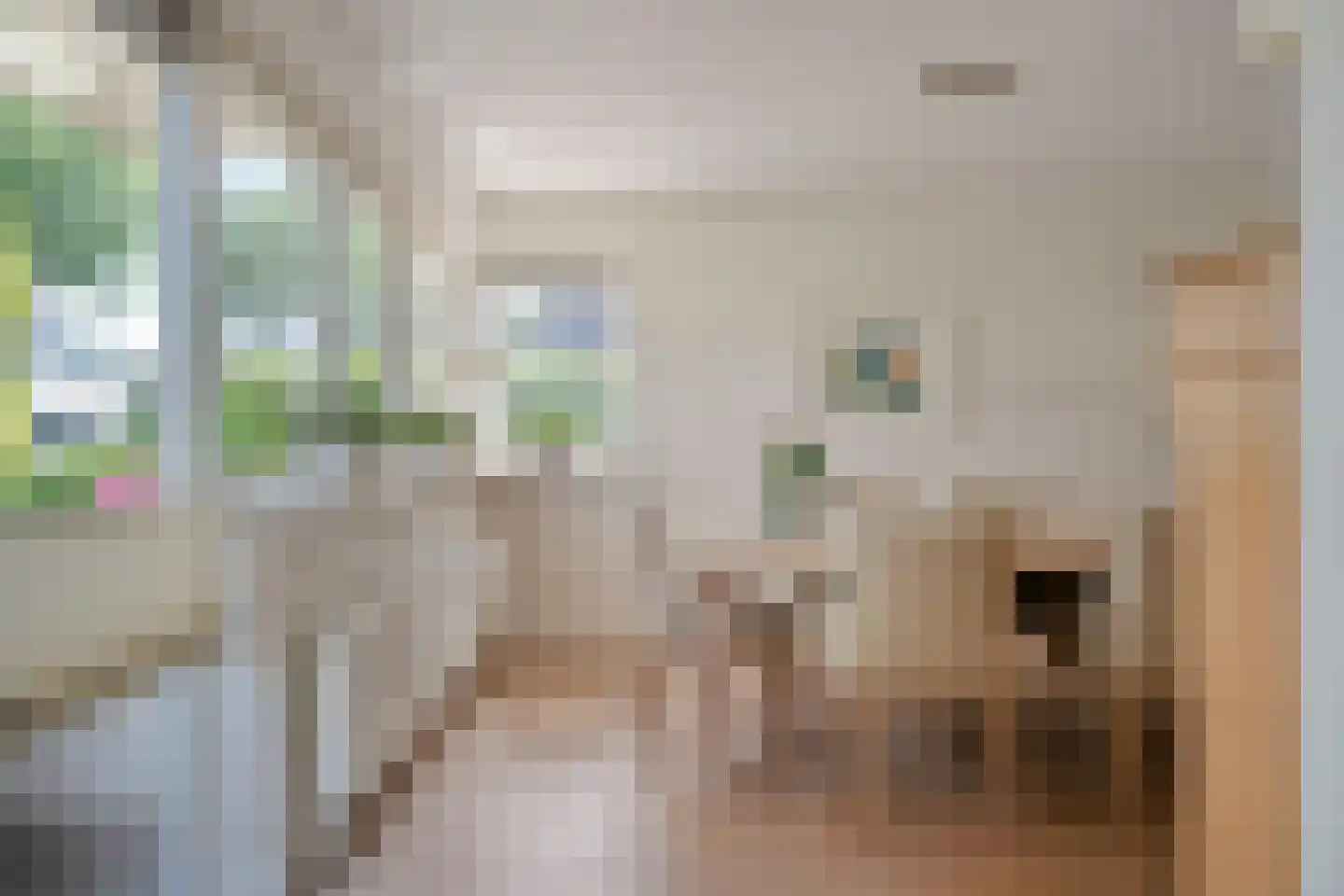 Bijenkorf 60 Eerbeek thumbnail 14