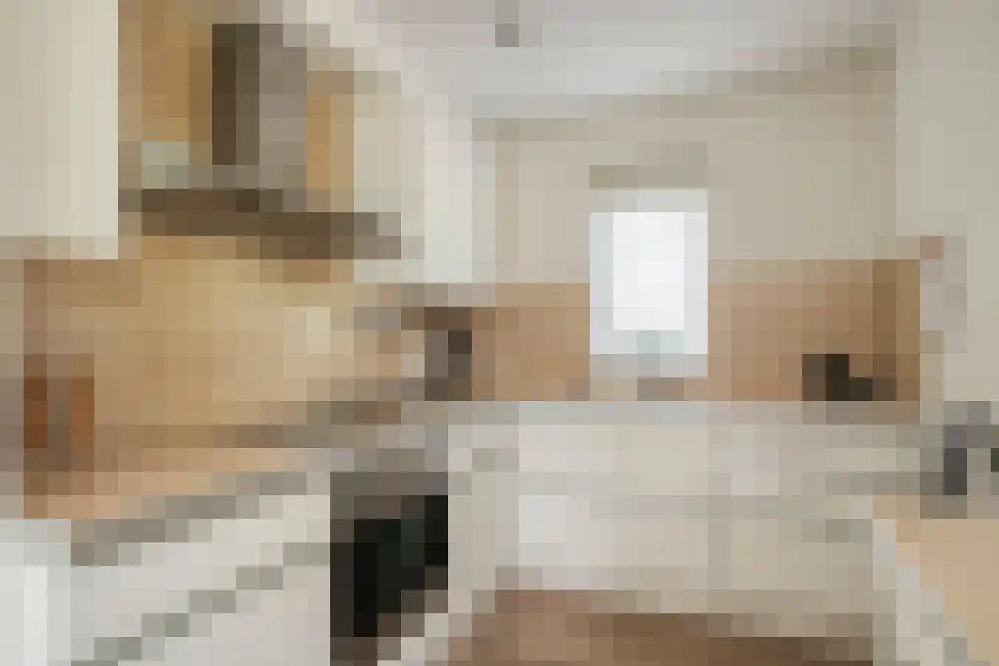 Bijenkorf 60 Eerbeek thumbnail 16
